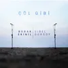 Çöl Gibi (feat. Sibel Gürsoy)