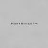 About I Can't Remember Song