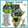 Bingy Land