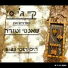 About היפ הופי Song