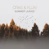 About Summer Leaves Song
