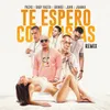 About Te Espero Con Ansias-Remix Song