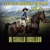 Mi Caballo Ensillado