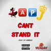 About Can't Stand It Song