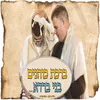 ברכת כהנים