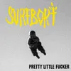 About Pretty Little Fucker Song