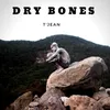 About Dry Bones Song