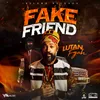 About Fake Friend Song