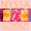 About Cowboy-IamHelgi Remix Song