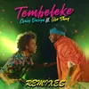 Tembeleke-Mouse N Cat & Neidlos vs Rosario Dr Edit