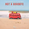 About Not a Goodbye-Voost Remix Song