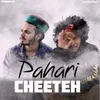 About Pahari Cheeteh Song