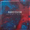 About Narcissism (Original Mix) Song