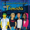 About Tímida Song