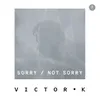 About Sorry/not Sorry Song