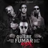 About Quiere Fumar-Remix Song