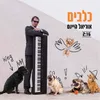 About כלבים Song
