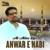 Anwar E Nabi