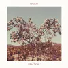 About Fraction Song