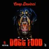 About Dogg Food Song
