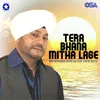 About Tera Bhana Mitha Lage Song