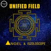 Unified Field-Angel Vision