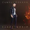 About Sevdalandım Song