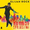 About New York City Springtime-Remix Song