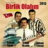 Birlik Olalım