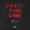 About Catch This Vibe Song