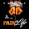 Pain of Life-Radio Edit