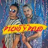 About Picho y Peleo Song