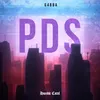 About P.D.S Song