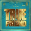 About True Friend Song