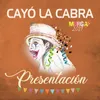 About Presentación 2019 Song