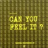 Can You Feel It-Lion I Mix