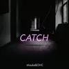 About Catch Song