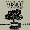 Fincanı Taştan Oyarlar