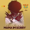 About Mama Im Sorry Song