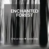 Enchanted Forest-Diegho Remix