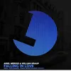 Falling In Love-Instrumental Mix
