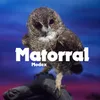 About Matorral Song