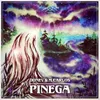Pinega (feat. Terya)-Ibu Selva Remix