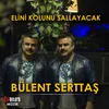 About Elini Kolunu Sallayacak Song