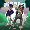 About Break Ya Back Song