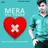 About Mera Dil Tod Ke Song