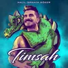 Timsah