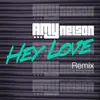 About Hey Love-Remix Song