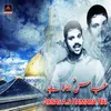 About Abbas a.s Hamara Hai Song