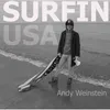 About Surfin USA Song